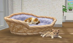 ꡼ No.008Υͥ / ļĹÿͻ路3DSεǽξܺ٤ʹnintendogscatsץץǥ塼ץ쥼ơݡ