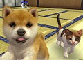 ļĹÿͻ路3DSεǽξܺ٤ʹnintendogscatsץץǥ塼ץ쥼ơݡ
