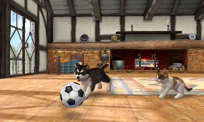 ꡼ No.004Υͥ / ǤŷƲॽեȤκǿȯ䥹塼nintendogs + cats3ȥ뤬226Ʊȯ֥ƥСפ317˥꡼