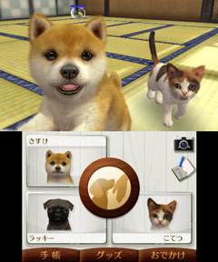 ꡼ No.001Υͥ / ȥסɥ뤫Ƹǽ˻ҸϤɤˤ롩nintendogs  catsפθȤ3Υѥåܺ٤餫