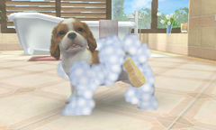 ꡼ No.003Υͥ / ȥסɥ뤫Ƹǽ˻ҸϤɤˤ롩nintendogs  catsפθȤ3Υѥåܺ٤餫