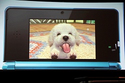꡼ No.013Υͥ / GDC 2011ϥ˥ƥɡ3DSϤƺ줿ȯǤԼ餬äDevelopment Process of Nintendo 3DSץݡ