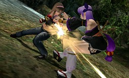 ꡼ No.015Υͥ / DOA Championsפ⻲˥ƥɡ3DSDEAD OR ALIVE Dimensionsץƥȥݡ