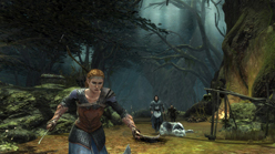 ꡼ No.011Υͥ / E3 2011ϡֻʪפΥRPGThe Lord of the Rings: War in the Northפϡʹ֡աɥդ3²ˤ붨ϥץ쥤äȤ