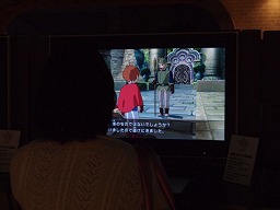 ꡼ No.006Υͥ / TGS 2010ĥåˤĤʤ顤DSǡPS3ǡιפͷƥȡȥХå餪
