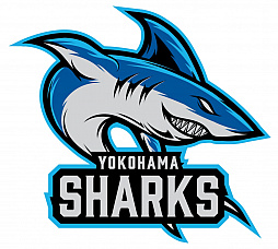 画像ギャラリー No.002のサムネイル画像 / 「World of Tanks」の大会・JAPAN PREMIER LEAGUEの決勝が7月2日にオンラインで開催