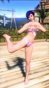 ꡼ No.002Υͥ / פˡ֥ܡ֥쥤 С Ver2.0פо졣κǿɥब뤷֥ץ饤١ȥ硼2010ץݡ