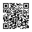 ꡼ No.002Υͥ / ֥Сե5ץȥCDȯ䡣ǰڡ»