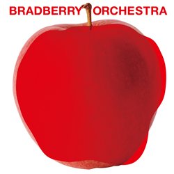 ꡼ No.003Υͥ / ζǡפβڤôBRADBERRY ORCHESTRA615˥