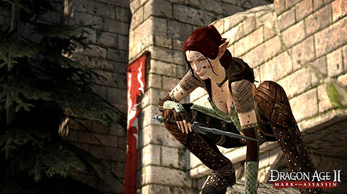 ꡼ No.002Υͥ / Dragon Age IIפοDLCMark of the Assassinפο饯TallisϥꥦåɽͥեꥷǥǮ