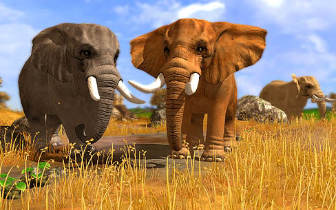 ꡼ No.001Υͥ / եѡбĤưʪ褦bitComposer͵꡼κǿWildlife Park 3פȯɽ
