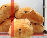 ꡼ No.024Υͥ / 1ߤʤΥ졼󥲡긢ץݡȡΩġʡãβʥƥ˥åå