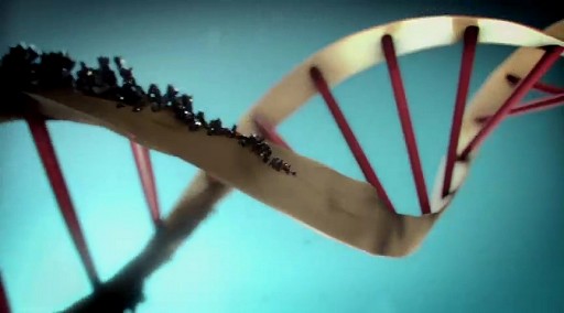 Darksporeץץ⡼ࡼӡ