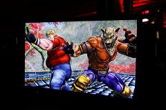 ꡼ No.012Υͥ / E3 2011ϡSTREET FIGHTER  ŴפΥץ쥤֥Ÿηϥ饯θˤʢץ쥤ࡼӡɲá