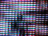 ꡼ No.008Υͥ / SIGGRAPHϼPSP360ΩλбˡSIGGRAPH 2010ǡֻ뺹360ġ360ΩλбפξLEDǥץ쥤