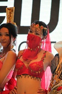 ꡼ No.193 | CJ 2010ϼǮChinaJoy 2010򤵤Ǯѥ˥̿Ǻ