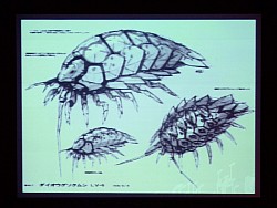 画像ギャラリー No.017のサムネイル画像 / ZUNTATA,12年ぶりの単独ライブ。Ver.Up「Unlock A」の情報も公開された「ダライアスバースト AC」ライブ&開発者トークショーレポート