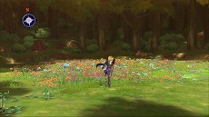 画像ギャラリー No.014のサムネイル画像 / 遊び心満載のDLC多数。「テイルズ オブ グレイセス エフ」,“コードギアス”や“初音ミク”“トロ”などのコラボ衣装の配信が明らかに