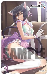 ���������꡼ No.024�Υ���ͥ������ / ��18Ź�ޤ˻���Фä��ȥ������ɤ򽸤�Ƥߤ롩���֥��㥤�˥󥰡��ϡ��ġפ�Ź����ͽ����ŵ������