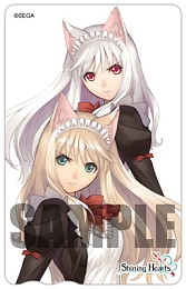 ���������꡼ No.028�Υ���ͥ������ / ��18Ź�ޤ˻���Фä��ȥ������ɤ򽸤�Ƥߤ롩���֥��㥤�˥󥰡��ϡ��ġפ�Ź����ͽ����ŵ������