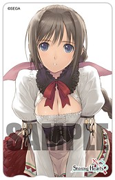 ���������꡼ No.033�Υ���ͥ������ / ��18Ź�ޤ˻���Фä��ȥ������ɤ򽸤�Ƥߤ롩���֥��㥤�˥󥰡��ϡ��ġפ�Ź����ͽ����ŵ������