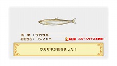 ���������꡼ No.020�Υ���ͥ������ / �֥��㥤�˥󥰡��ϡ��ġס������Ƥ�����Ŵ�γ�±�ġ֥�����Х󥫡��פ����ơ��͵��������դˤ������������¸�ߤ����餫��