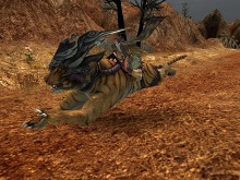 ���������꡼ No.017�Υ���ͥ������ / ����ʡֻ����áפ�����Φ����������SANGOKU CHAOS �����񥫥������פ��緿���åץǡ�����4�ơ�������������������