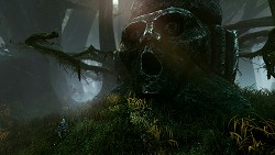 ꡼ No.006Υͥ / GamescomϤ줬RPGThe Witcher 2: Assassins of KingsפϥեåƥȺ٤뤫⤷ʤȡ꡼ʬ