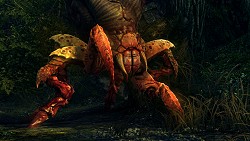 ꡼ No.007Υͥ / GamescomϤ줬RPGThe Witcher 2: Assassins of KingsפϥեåƥȺ٤뤫⤷ʤȡ꡼ʬ