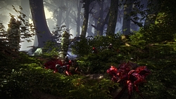 ���������꡼ No.007�Υ���ͥ������ / ��Gamescom�Ϥ��줬��Ω�ϥҥåȥ᡼���������Ϥ��� CD Projekt����The Witcher 2�פ��緿̵�����åץǡ��Ȥ򳤳���9��29���˥�꡼��