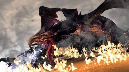 ꡼ No.013Υͥ / Dragon Age IIפΥ೵פطʤʤɤξ󤬸ˡ꡼󥷥åȤǿʲեåФǧ褦
