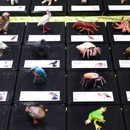 画像ギャラリー No.110のサムネイル画像 / ゲームセンターを彩るプライズがズラリ。「第51回プライズフェア」フォトレポート