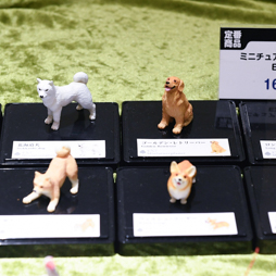 画像ギャラリー No.111のサムネイル画像 / ゲームセンターを彩るプライズがズラリ。「第51回プライズフェア」フォトレポート