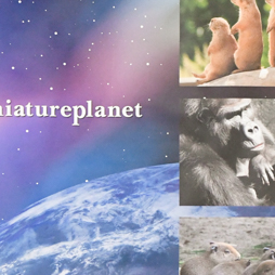 画像ギャラリー No.134のサムネイル画像 / ゲームセンターを彩るプライズがズラリ。「第51回プライズフェア」フォトレポート