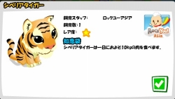 画像ギャラリー No.021のサムネイル画像 / 北米や日本のソーシャルゲーム市場は,今,どんなことになっているのか? ロックユーアジアのCOO,石塚 亮氏に聞いた