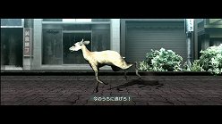 ꡼ No.014Υͥ / ƤȤϤ줿²饤α̿ϤˡTOKYO JUNGLEפβʴĶưʪãΥȡ꡼Ҳ
