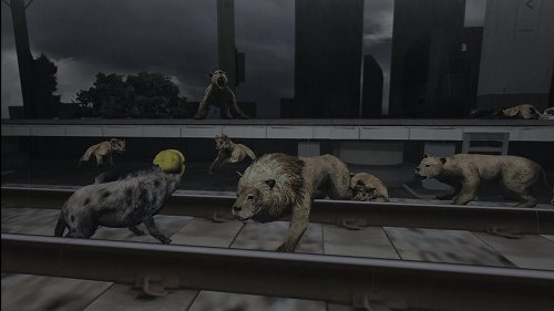 ꡼ No.019Υͥ / ƤȤϤ줿²饤α̿ϤˡTOKYO JUNGLEפβʴĶưʪãΥȡ꡼Ҳ