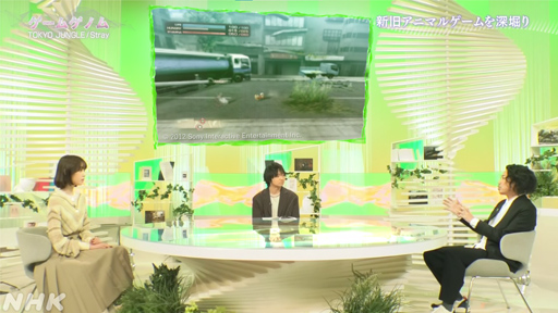 ꡼ No.002Υͥ / NHK֥ॲΥ10TOKYO JUNGLE/Stray׻İݡȡޡ򤵤äۿ˥ޥ륲˶̤ΤȤ