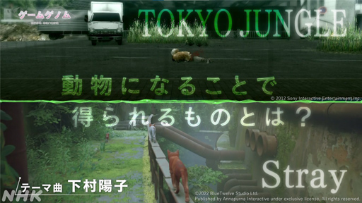 ꡼ No.012Υͥ / NHK֥ॲΥ10TOKYO JUNGLE/Stray׻İݡȡޡ򤵤äۿ˥ޥ륲˶̤ΤȤ