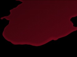 ꡼ No.005Υͥ / ֵž2ס2äʤɤҲ𤹤Ȳʤž2ֺ¡4