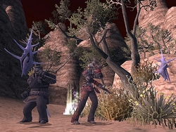 ꡼ No.073Υͥ / TGS 2010ϡDISSIDIA׺ǿäͷ٤륹˥֡®󡣡KINGDOM HEARTSסThe 3rd Birthdayפϥİ˥ץ쥤ǽ