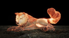 ꡼ No.001Υͥ / ֿβסꥢƤʤɤξ󤬸饤ǤƱCo-opڤ