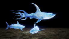 ꡼ No.003Υͥ / ֿβסꥢƤʤɤξ󤬸饤ǤƱCo-opڤ