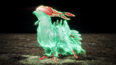 ꡼ No.005Υͥ / ֿβסꥢƤʤɤξ󤬸饤ǤƱCo-opڤ