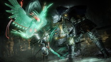 ꡼ No.006Υͥ / ֿβסꥢƤʤɤξ󤬸饤ǤƱCo-opڤ