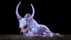 ꡼ No.007Υͥ / ֿβסꥢƤʤɤξ󤬸饤ǤƱCo-opڤ