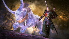 ꡼ No.008Υͥ / ֿβסꥢƤʤɤξ󤬸饤ǤƱCo-opڤ