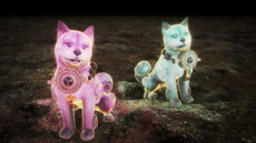 ꡼ No.009Υͥ / ֿβסꥢƤʤɤξ󤬸饤ǤƱCo-opڤ