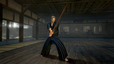 ꡼ No.014Υͥ / ֿβסꥢƤʤɤξ󤬸饤ǤƱCo-opڤ