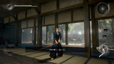 ꡼ No.015Υͥ / ֿβסꥢƤʤɤξ󤬸饤ǤƱCo-opڤ